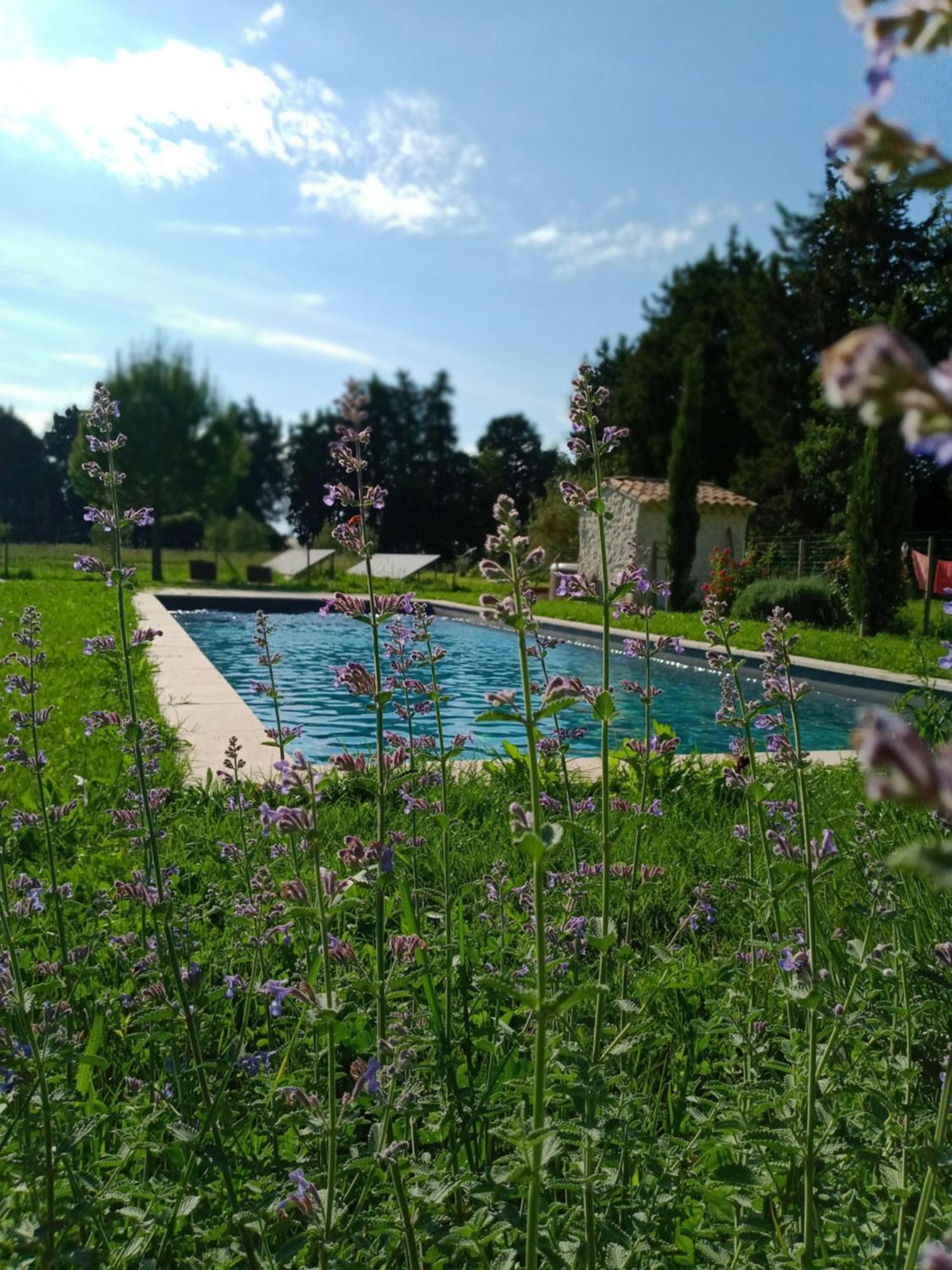 Mas De Karlotte Appartement Pernes-les-Fontaines Buitenkant foto