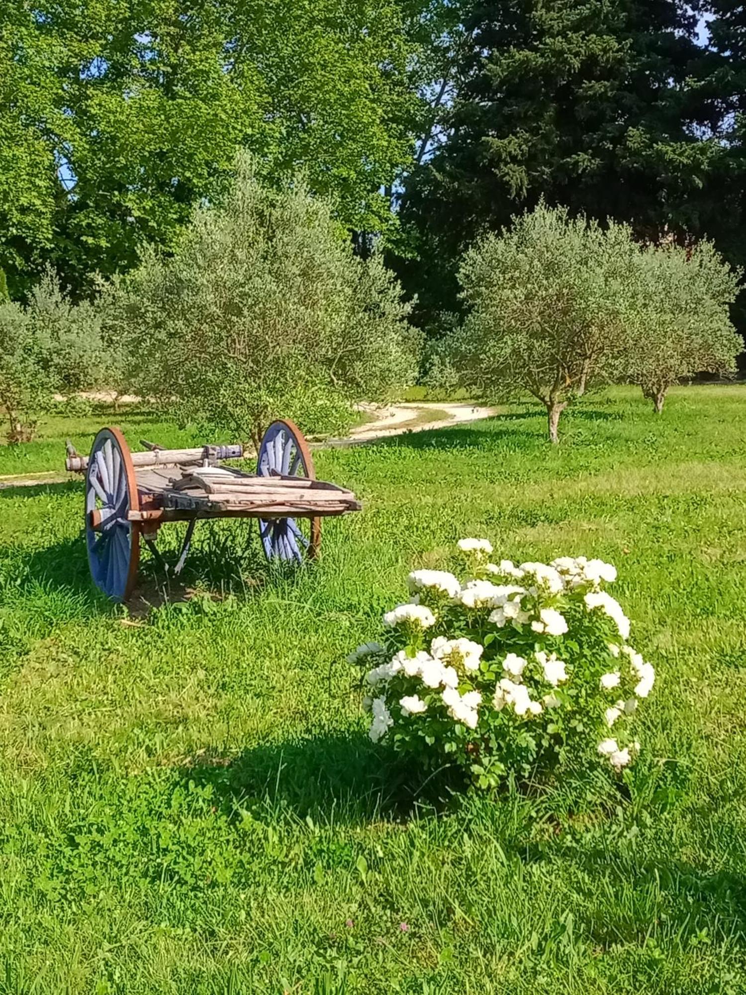 Mas De Karlotte Appartement Pernes-les-Fontaines Buitenkant foto